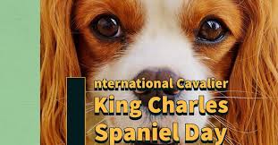 Cavalier king charles spaniel puppies for sale in east texas. International Cavalier King Charles Spaniel Day