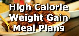 high calorie weight gain meal plans