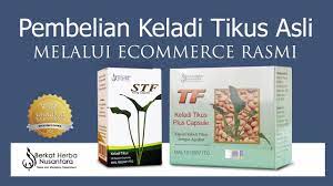 Kanker rahim biasanya terjadi setelah masa untuk mengobati kanker rahim bisa dilakukan dengan ramuan herbal. Ubat Kanser Kanser Tahap Serta Kaedah Yang Digunakan Untuk Merawatnya