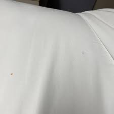 Image result for Microtel Inn and Suites Appleton Appleton WI