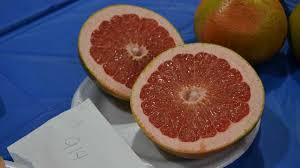 Crop diseases have turned into a nightmare, as they can cause a significant reduction in both the a quite different software model was suggested in 7 to identify species of leaf, pest and crop after going through the testing process 91 % of accuracy was found. Where Have All The Florida Grapefruit Gone Growing Produce