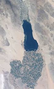 Hoping to convince his wife that a promotion across the country could change their lives, brian takes her on a trip to a faded resort town where they once honeymooned. 22 Salton Sea Ideas Salton Sea Salton Sea California Sea