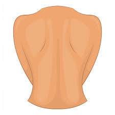 If you have followed my blog before, you know that i often do art experiments where i have some classes doing one thing, and the others trying something different. Back Woman Body Human Part Icon Download On Iconfinder