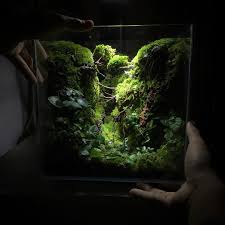 Aquascaping