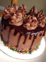 Homemade Triple Chocolate Birthday Cake Imgur Chocolate Cake Designs Birthday Cake Chocolate Triple Chocolate Cake