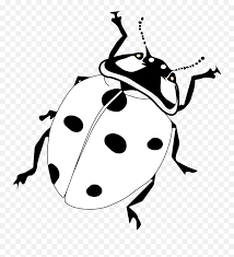 Even though we are girls, our strength is enough to stop any villain. Clipart Animals Insect Transparent Realistic Ladybug Coloring Page Emoji Zzz Ant Ladybug Ant Emoji Free Transparent Emoji Emojipng Com