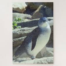 Check spelling or type a new query. Australian Birds Jigsaw Puzzles Zazzle