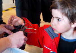 Taking the farm to the city