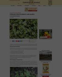 Common purslane has green leaves and yellow flowers. Purslane Health Benefits And Recipes Echocommunity Org