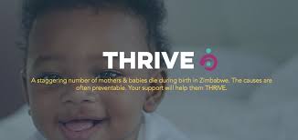 Thrive Project Zimbabwe