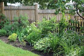 Border Shrubs Along Fence Google Search Fence Landscaping Landscaping Shrubs Garden Shrubs