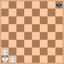 Pawn black cookie favors a cautious strategy utilizing the king and rook, but pawn white. Chess Puzzles Rook Strategies Brilliant Math Science Wiki