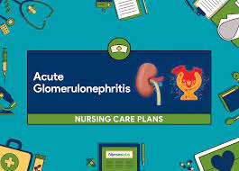 Nursing interventions are concerned with empowering people, and helping them to achieve. 4 Acute Glomerulonephritis Nursing Care Plans Nurseslabs
