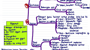 Body Defence System
