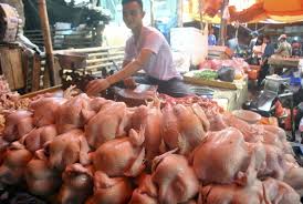 Harga ayam broiler terbaru hari ini (tribunnews.com). Harga Ayam Potong Di Cirebon Tembus Rp 40 Ribu Per Kilogram Republika Online