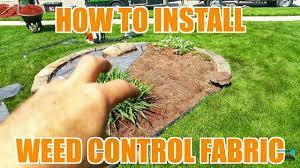 We did not find results for: How To Install Weed Barrier Fabric Landscaping Lawn Care Youtube
