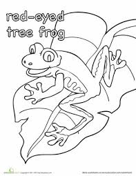 Some of the coloring page names are red eyed tree frog coloring rainforest alliance, full size coloring for adults at, frog coloring for kids frog, full size tree frog poster frog art frog, cattail stencil, coloring tree frogs abcteach, animal coloring delightful frog coloring, stiahnu frog omaovnky frogs toad, tattooed tree frog. Coloring Pages Of Red Eyed Tree Frogs
