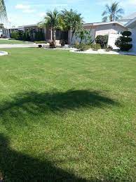 Some Faint Stripes In Bermuda Grass Bermuda Grass Lawn Care Business Lawn Care
