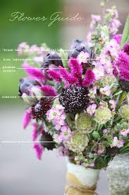 Flower Guide Farm Inspired Ruffled Beautiful Flowers Flower Guide Flower Arrangements