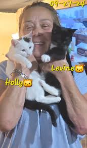 Holly🐱 & Levine🐱 went to their forever family today❣️! I can't thank  Marisol Castillo and her family enough .. for when they came here last week  they fell in love with several