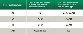 Blood Compatibility Reference Chart And How To Receive A