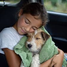 Girl soothes shelter dog with lullaby