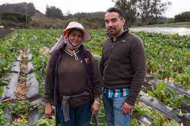 Want To Become A Farmer In California? Get A Business Mentor | Kqed