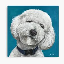 Doodle art print, personalized dog art print for your doodle, labradoodle, goldendoodle, lovely dog wall art great gift for dog owners. Golden Doodle Canvas Prints Redbubble