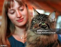 333 David Coon Stock Photos, High-Res Pictures, and Images