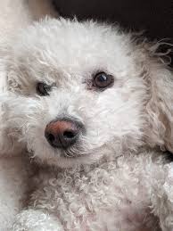 Can't be a bad day when this is the face you wake up too lol