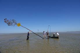 Channel Poles Are Back At Rock Harbor Capecod Com