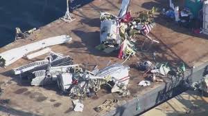 Image result for Rawsonia burtt-davyi