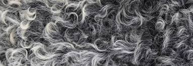 Plant And Animal Fibres Fibre2fashion