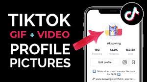 The benefit of using this method to add gifs to your. How To Use Any Gif Or Video As Your Tiktok Profile Picture Youtube