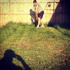 Backyard Cricket Love My Kids Backyard Scenes