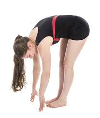 Check spelling or type a new query. Shape Up Top 10 No Equipment Exercises You Can Do At Home