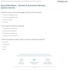 Quiz Worksheet Stomach Autonomic Nervous System Controls Study Com