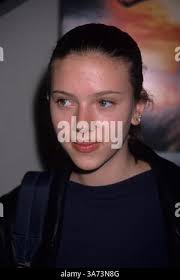 T rex back cretaceous hi-res stock photography and images