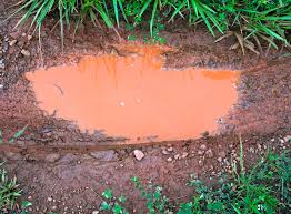 Kommt lehmboden unter die räder von baumaschinen und schwerem gerät, geht die pflanzentaugliche qualität verloren. Drainage Bei Lehmboden Ist Ihr Einsatz Hier Sinnvoll