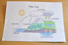 Water Cycle Water Cycle Teaching Weather Fun Science