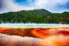 Check spelling or type a new query. Yellowstone National Park The Complete Guide
