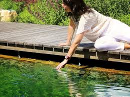 Naturpool Ein Kraftplatz Im Garten Natur Pool Pool Natur