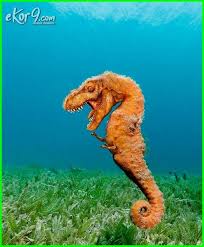 The tribute dongeng dari negeri burung ufuk timur via 3nity3bute.blogspot.com. 8700 Koleksi Gambar Hewan Lucu Editan Hd Terbaik Gambar Hewan