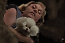 Silence of the lambs buffalo bill decor