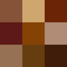 Biounite™ is marrone bio innovations' solution for both conventional and organic growers. Sognare Il Colore Marrone Significato Sogni