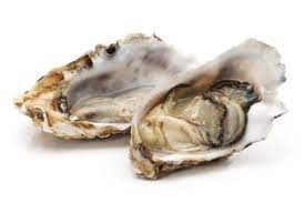 In spanish they say cojones sirve para todo, and it's true. Oyster In Spanish English To Spanish Translation Spanishdict