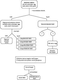 Qualitative Analysis Chemistry Lab Flowchart Qualitative