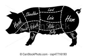 pork cuts butcher diagram