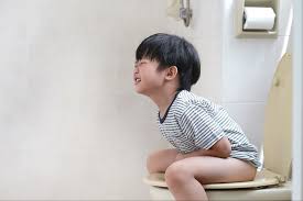 Dosis efektif diperkirakan sekitar 50 gram (sekitar 7 buah plum berukuran sedang). Selain Terus Buang Air Besar Ini 5 Gejala Lain Yang Dialami Saat Anak Diare Bukareview