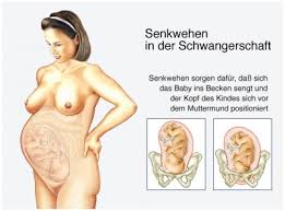 Die sogenannten vorwehen treten in den letzten schwangerschaftswochen vor der entbindung auf und werden häufig mit eröffnungswehen. Wehen Ursachen Behandlung Hilfe Medlexi De